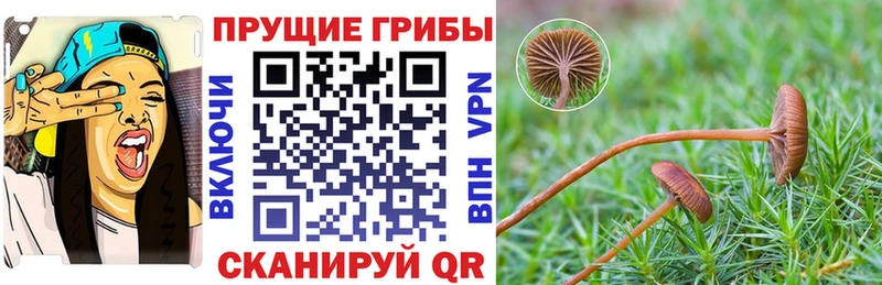 Галлюциногенные грибы MAGIC MUSHROOMS  Строитель 